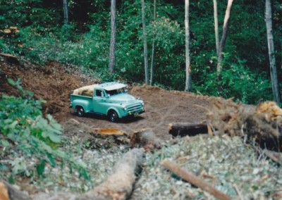 1953 Dodge Pick-Up - image 4